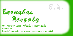 barnabas meszoly business card