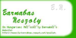 barnabas meszoly business card